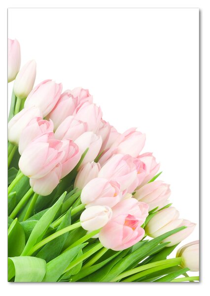 Egyedi üvegkép Rózsaszín tulipánok