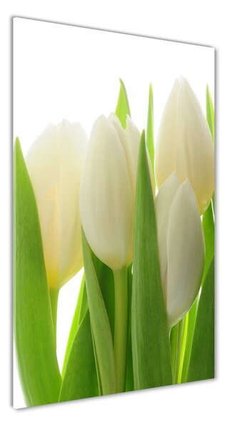 Egyedi üvegkép Fehér tulipán
