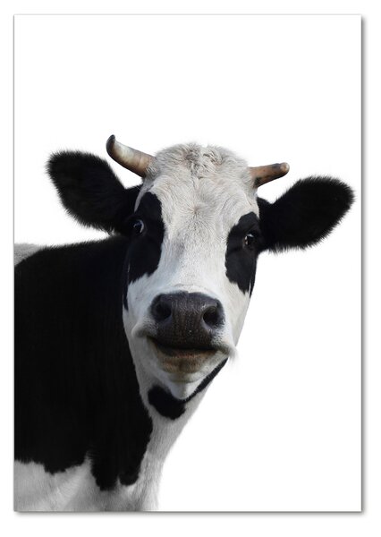 Üvegkép Tarka tehén