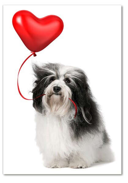 Üvegkép Havanese léggömb