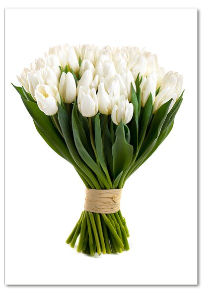 Egyedi üvegkép Fehér tulipán