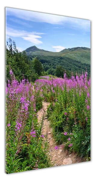 Üvegfotó Bieszczady