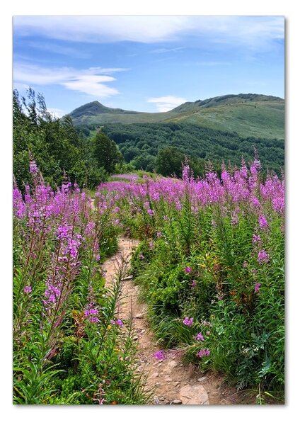 Üvegfotó Bieszczady