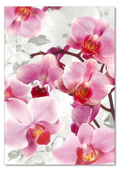 Egyedi üvegkép Rózsaszín orchidea