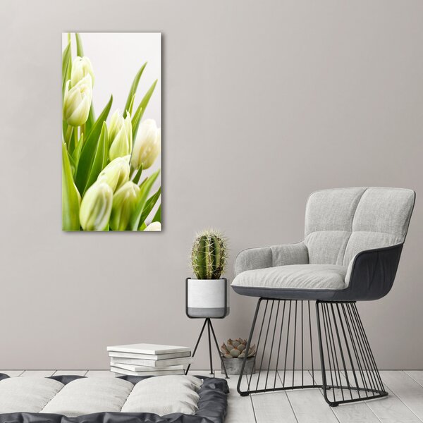 Vászonkép nyomtatás Fehér tulipán