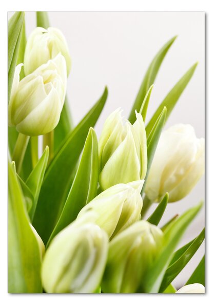 Egyedi üvegkép Fehér tulipán