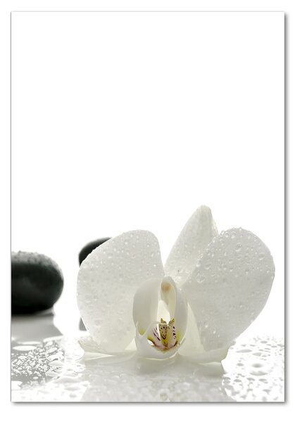 Egyedi üvegkép Orchidea és kövek