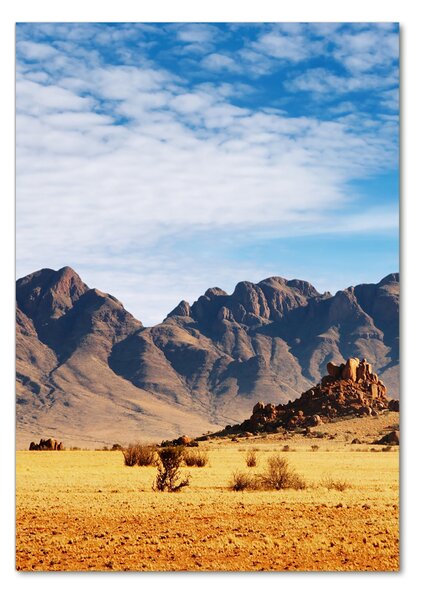 Üvegfotó Desert namíbia