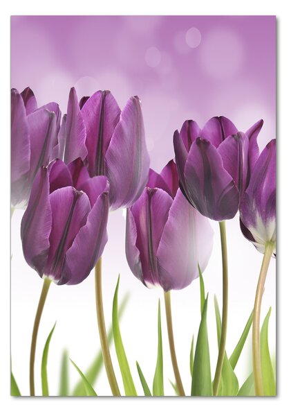 Egyedi üvegkép Lila tulipánok