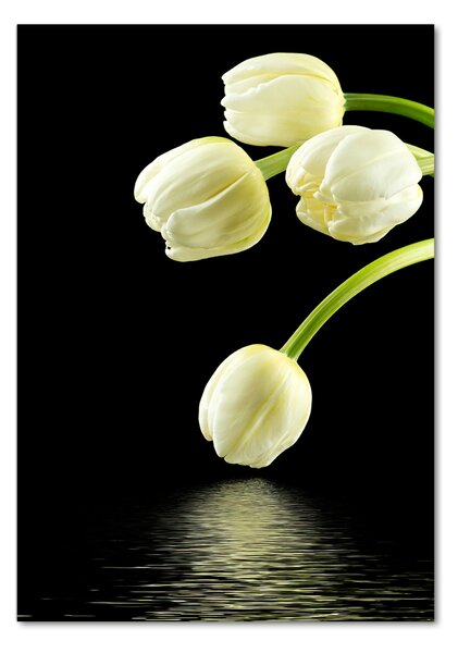Egyedi üvegkép Fehér tulipán