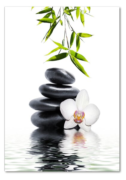 Egyedi üvegkép Orchidea és kövek