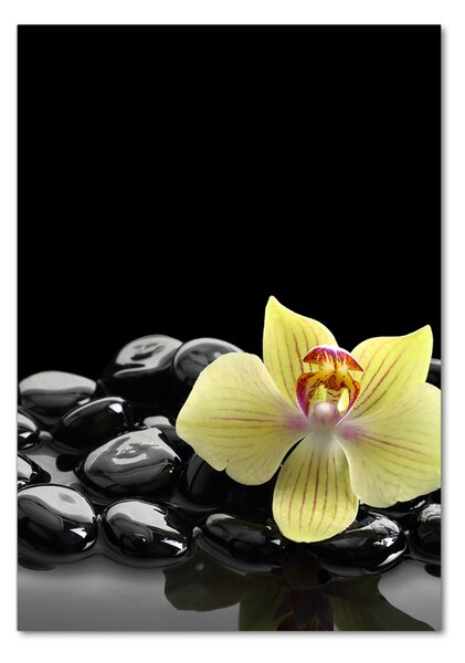 Egyedi üvegkép Orchidea és kövek