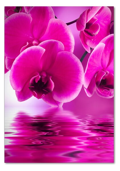 Egyedi üvegkép Rózsaszín orchidea