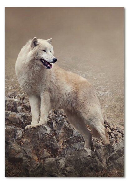 Üvegkép Wolf egy szikla