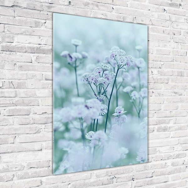 Egyedi üvegkép Astrantia