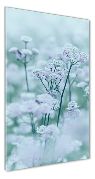 Egyedi üvegkép Astrantia