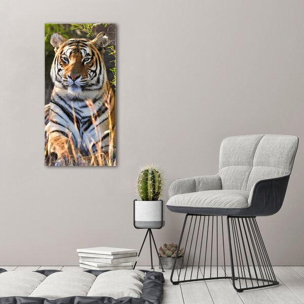 Vászonkép Tigris