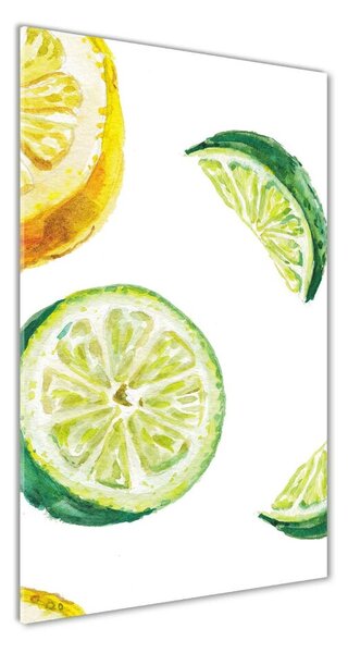 Üvegfotó Limes citrom