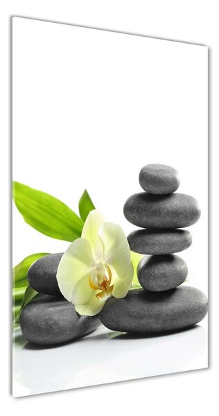 Egyedi üvegkép Orchidea és kövek