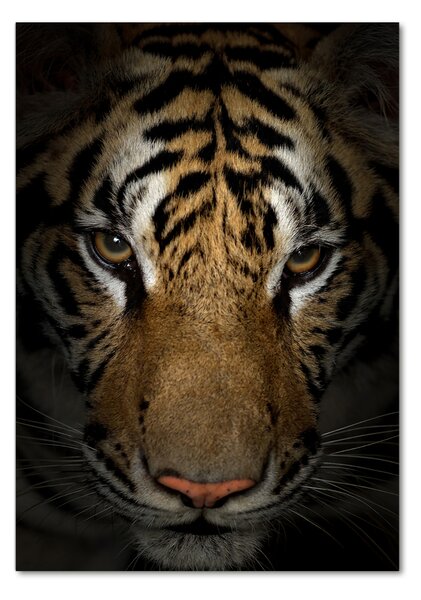 Üvegkép Tigris