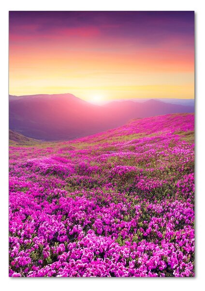 Üvegfotó Hegy rhododendron