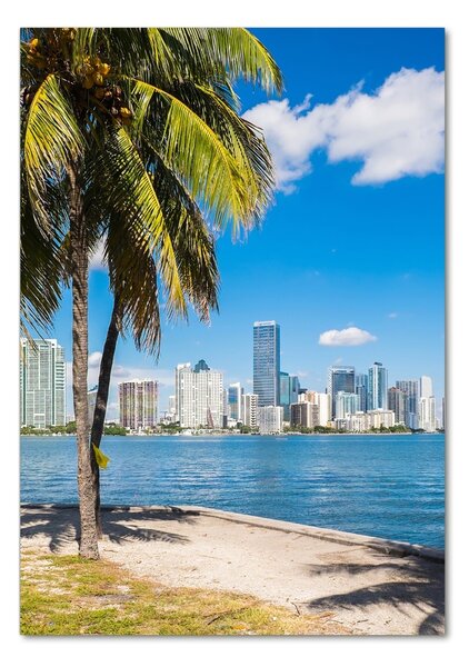 Üvegkép falra Miami