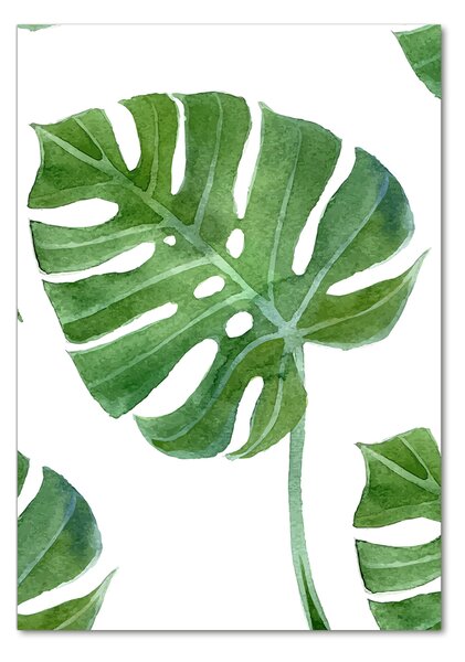 Photo kép üveg Monstera