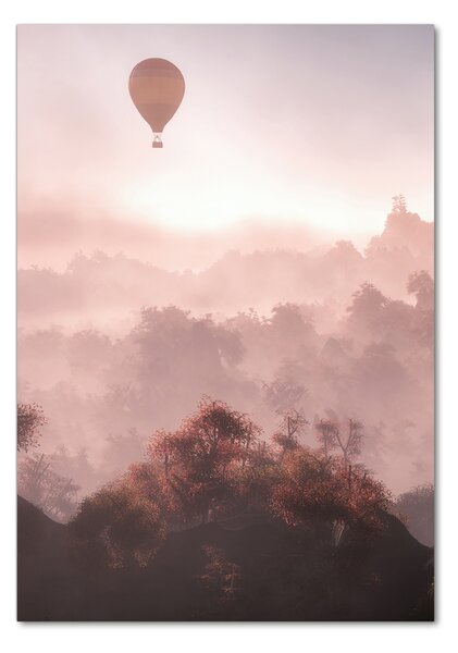 Üvegfotó Repülő ballon erdő