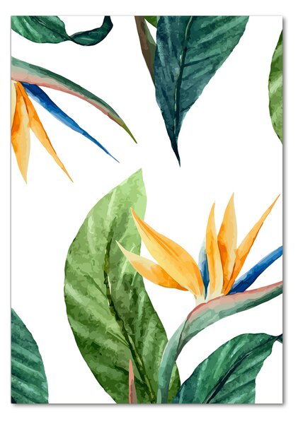 Photo kép üveg Strelitzia reginae