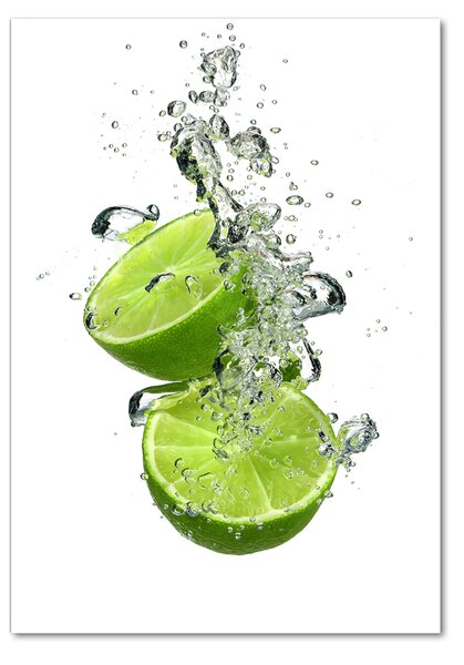 Üvegfotó Limes