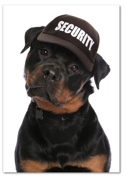 Üvegkép Rottweiler egy sapka