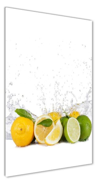 Üvegfotó Citrusfélék