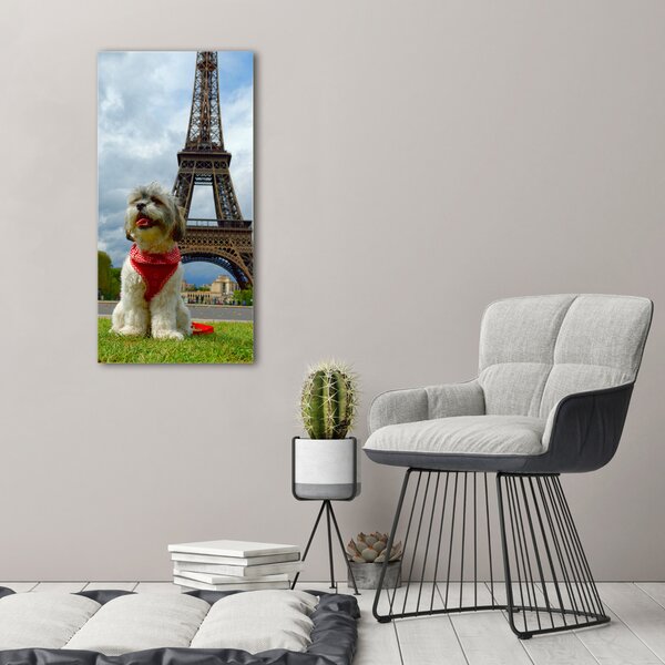 Üvegkép Dog in paris