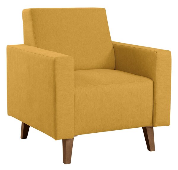 Fotel Delbene 131, Kárpit, 80x75x75cm, Részben összeszerelt