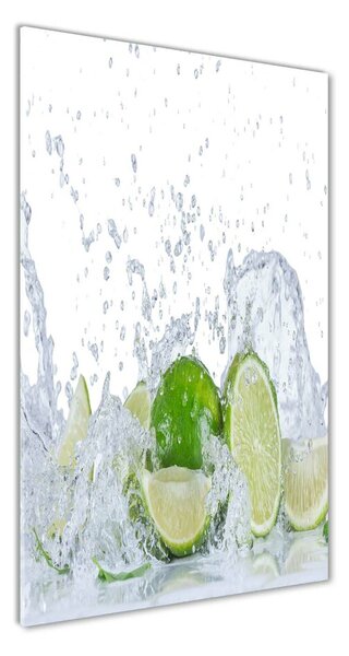Üvegfotó Limes