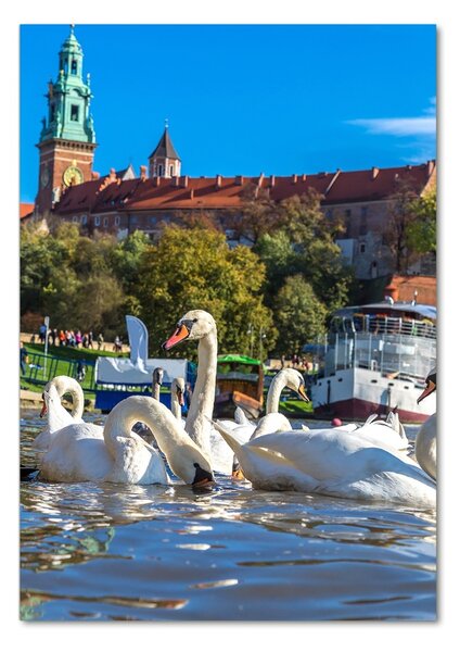 Üvegkép falra Krakkó lengyelország