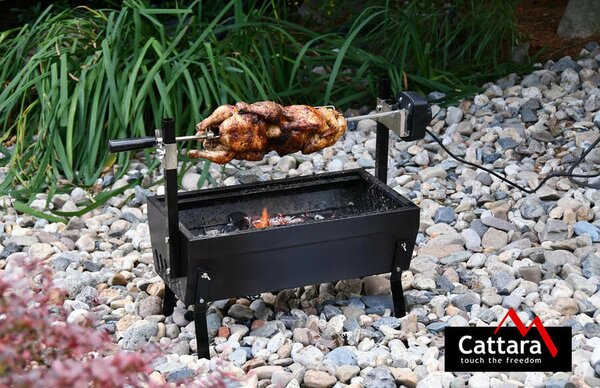 Faszén grill Barbecue 60cm 230V motorral