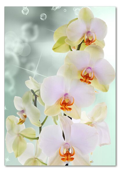 Egyedi üvegkép Orchidea