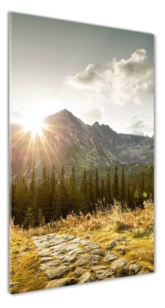 Üvegkép nyomtatás Sunset tatra