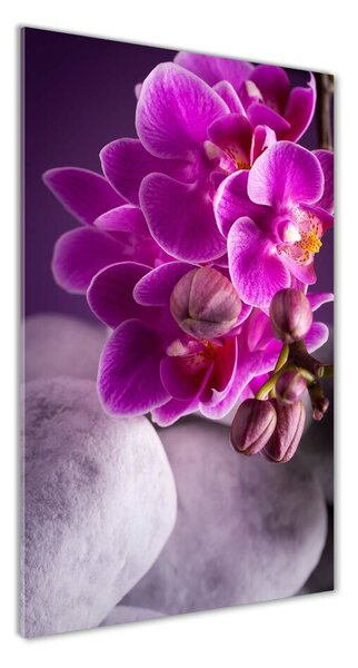 Egyedi üvegkép Rózsaszín orchidea