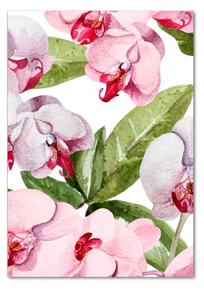Photo kép üveg Orchidea