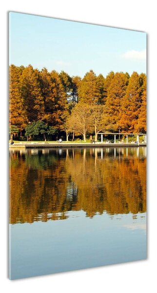 Üvegkép nyomtatás Park ősszel