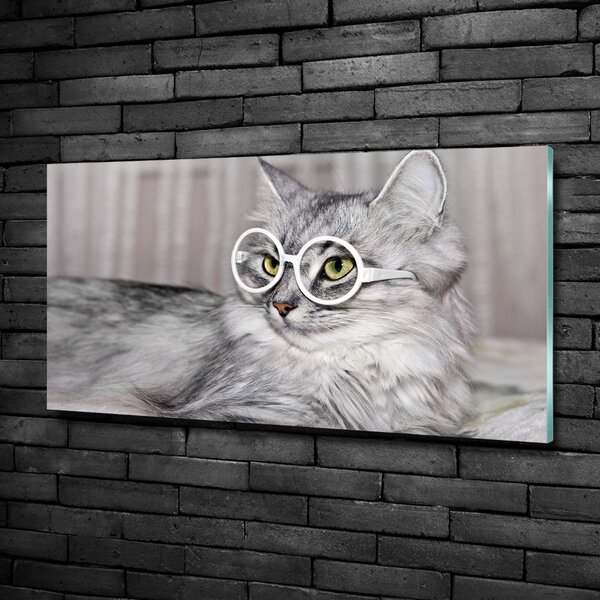 Üvegkép Cat szemüveg
