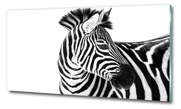 Üvegkép Zebra hó