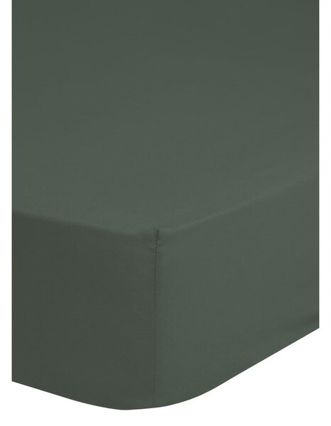 Olívazöld pamut-szatén gumis lepedő, 160 x 200 cm - HIP