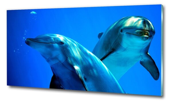 Üvegkép Két delfin