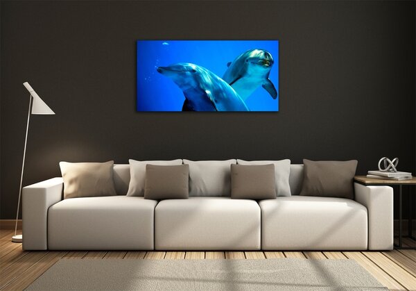 Üvegkép Két delfin