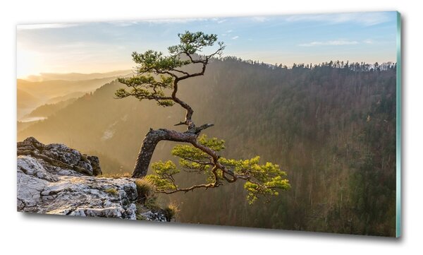Üvegfotó Pieniny sokolica