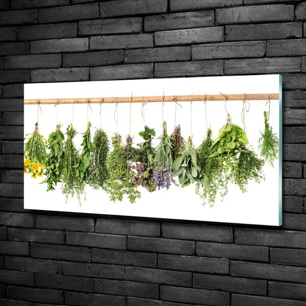 Fali üvegkép Herbs egy húr