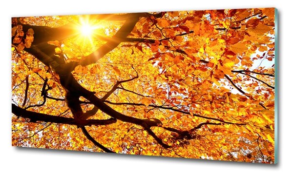 Egyedi üvegkép Korona őszi fák